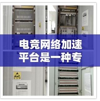 电竞网络加速平台是一种专为电竞圈的玩家设计的工具，旨在加速游戏速度并提供其他辅助功能。以下是关于该平台的详细说明