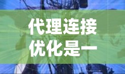 代理连接优化是一个复杂但重要的步骤，旨在提高服务器性能和响应速度。以下是一个系统化的指南，帮助您有效优化代理连接