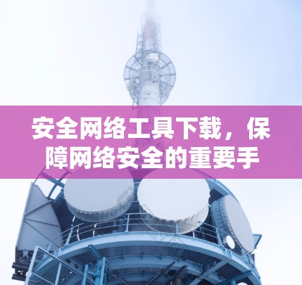 安全网络工具下载，保障网络安全的重要手段