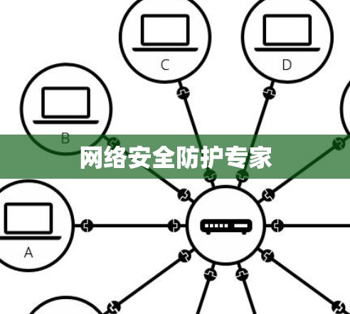 网络安全防护专家