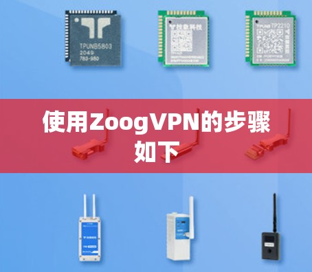 使用ZoogVPN的步骤如下