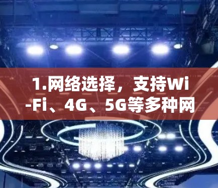 1.网络选择，支持Wi-Fi、4G、5G等多种网络，确保用户在不同环境下都能安全连接