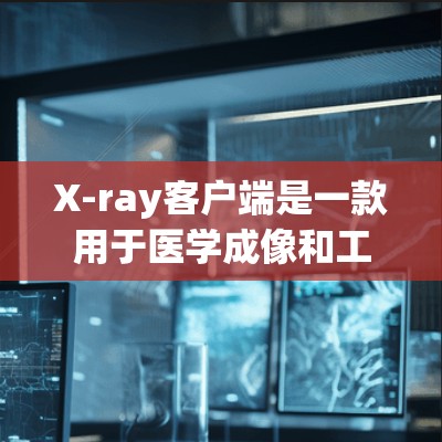 X-ray客户端是一款用于医学成像和工业检测的实用工具。如果你正在寻找一个免费且易于使用的X射线扫描平台，那么X-ray客户端可能是你所需的解决方案