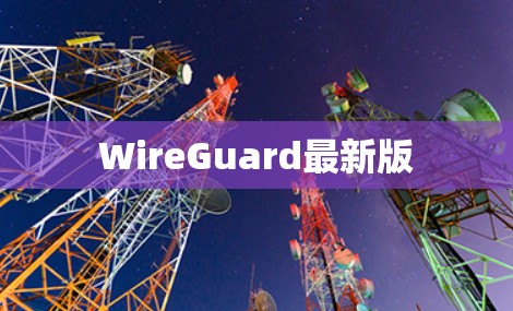 WireGuard最新版