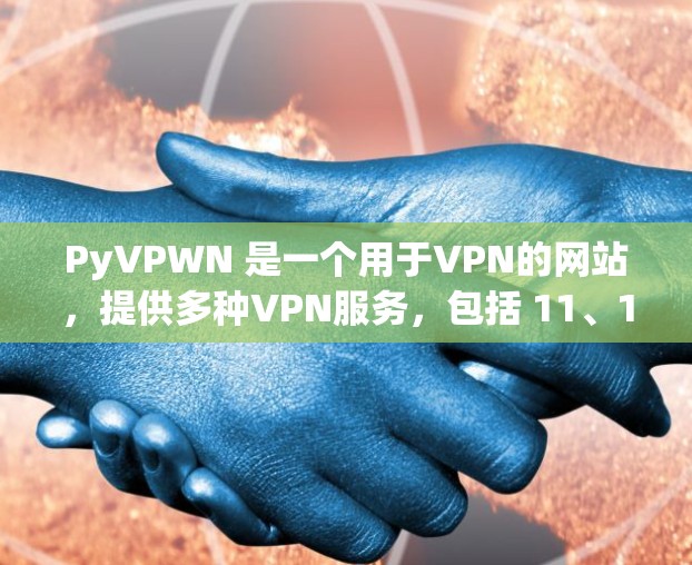 PyVPWN 是一个用于VPN的网站，提供多种VPN服务，包括 11、161 等类型。以下是完整且详细的操作步骤，帮助您顺利下载和使用 PyVPWN