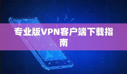 专业版VPN客户端下载指南 专业版VPN客户端下载指南