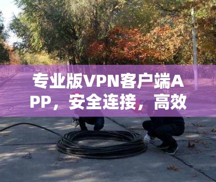 专业版VPN客户端APP，安全连接，高效传输的便捷出行