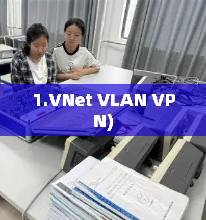 1.VNet VLAN VPN) 1.VNet VLAN VPN)