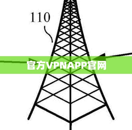 官方VPNAPP官网 官方VPNAPP官网