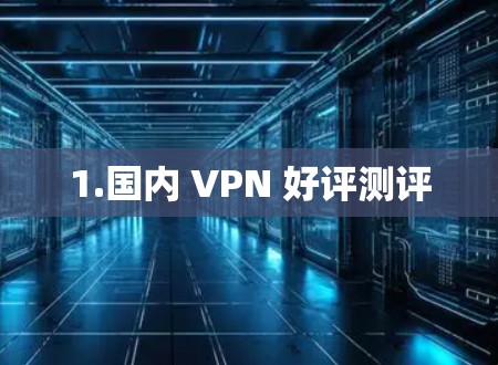 1.国内 VPN 好评测评 1.国内 VPN 好评测评