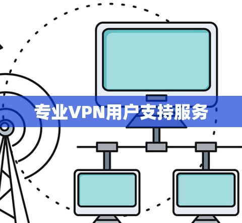 专业VPN用户支持服务 专业VPN用户支持服务