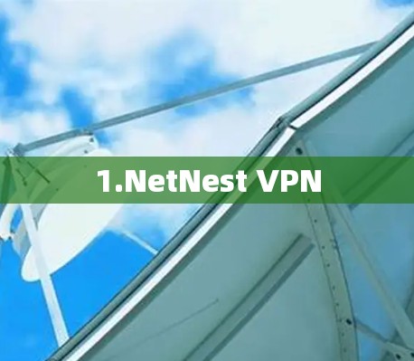 1.NetNest VPN 1.NetNest VPN