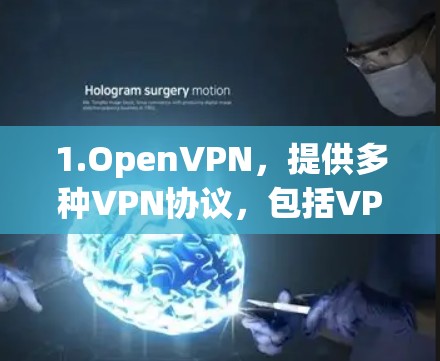 1.OpenVPN，提供多种VPN协议，包括VPN、VPN协议和端到端加密（E2EE）最新版本通常更新了加密协议和性能优化