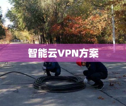 智能云VPN方案 智能云VPN方案