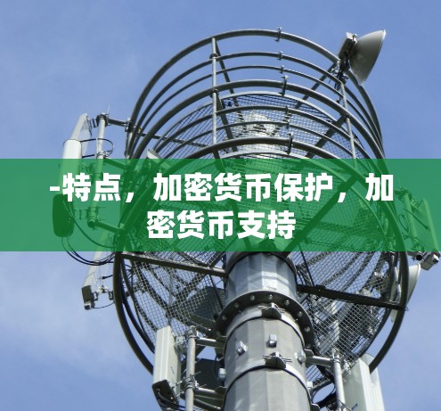 -特点，加密货币保护，加密货币支持