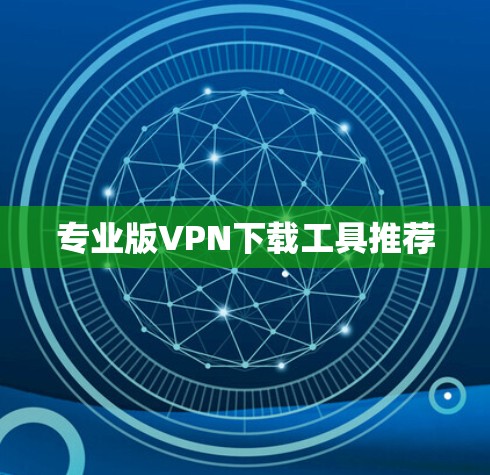专业版VPN下载工具推荐 专业版VPN下载工具推荐