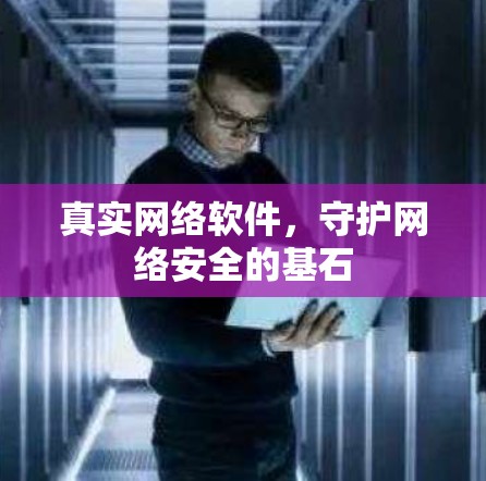 真实网络软件,守护网络安全的基石 真实网络软件,守护网络安全的基石
